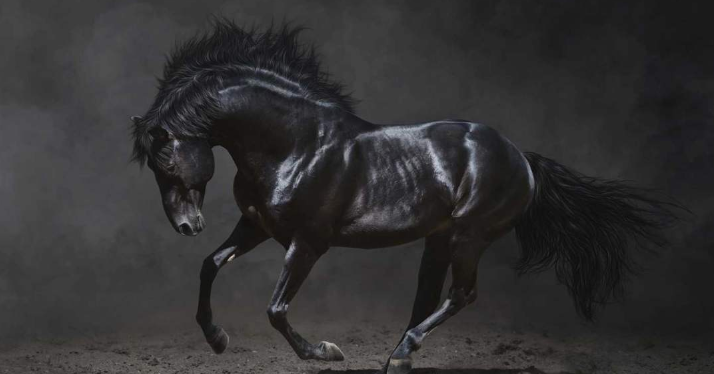 大源機械：以“黑馬式”速度實現(xiàn)民族印機制造業(yè)的智能化創(chuàng)新